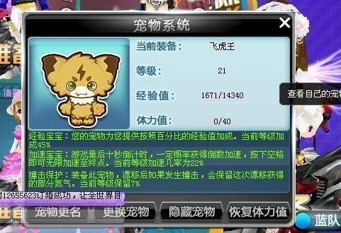 qq飞车新宠物爆料最新,神秘宠物降临！QQ飞车新宠物爆料抢先看  第2张