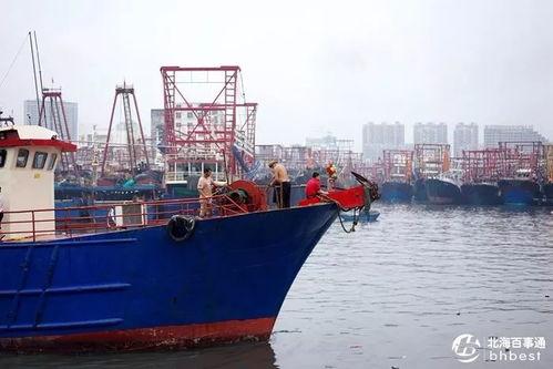 爆料渔船视频大全下载安装,视频大全带你领略海上捕捞世界 第2张 爆料渔船视频大全下载安装,视频大全带你领略海上捕捞世界 第2张